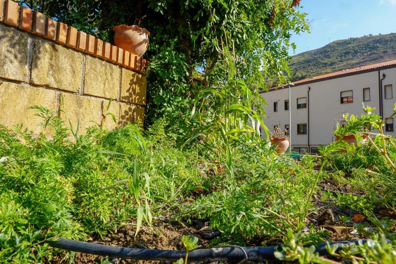 Villa Caterina - Solemar Sicilia Cefalu Ngoại thất bức ảnh