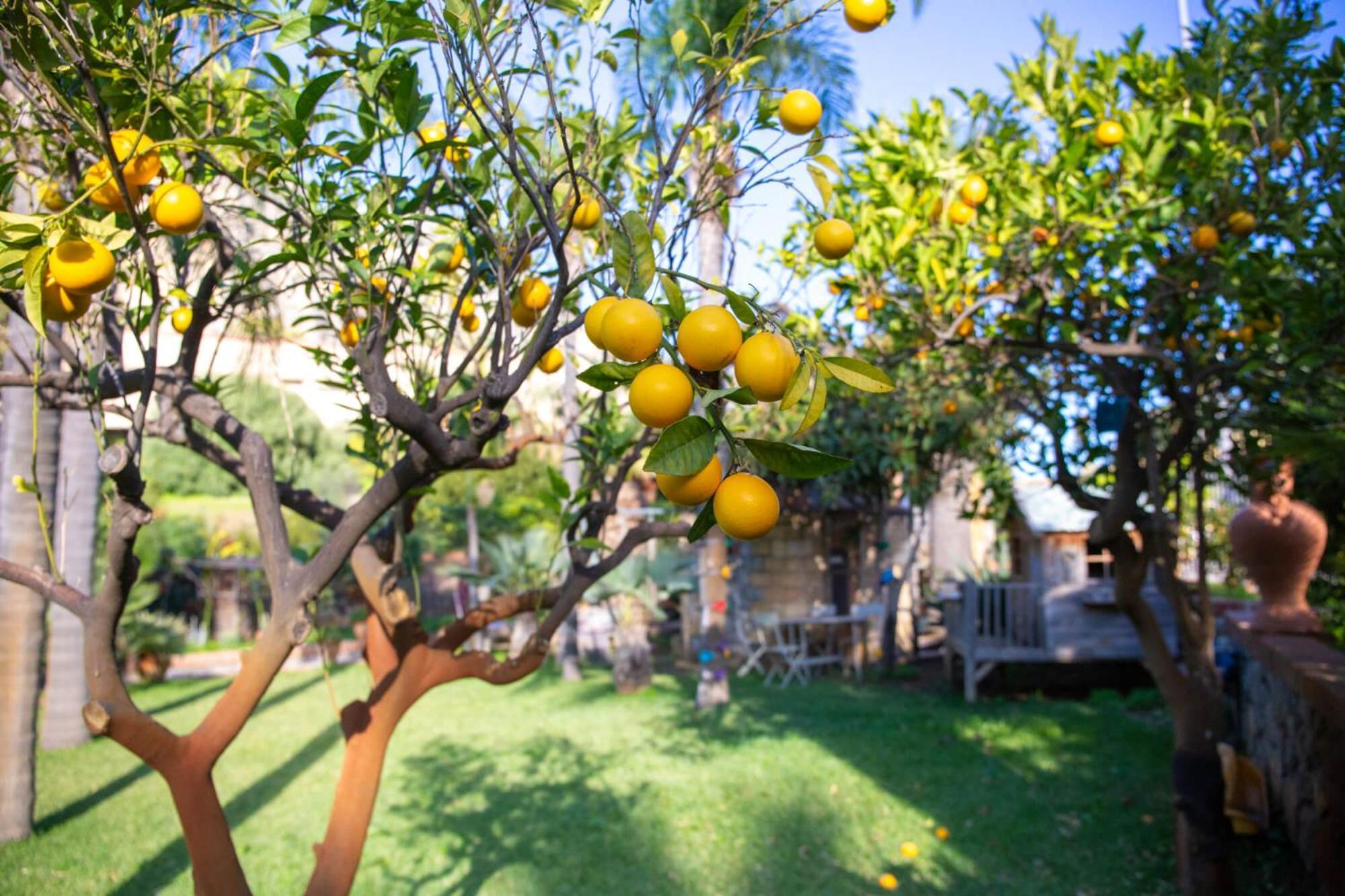Villa Caterina - Solemar Sicilia Cefalu Ngoại thất bức ảnh